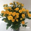 多头黄玫瑰10支 商品缩略图3