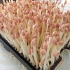 【HFS】花生芽 200g/份 太平海农业 商品缩略图1