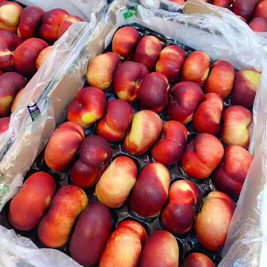 超级香甜【金霞油蟠桃】30年匠心 敢争世间第一桃，现摘分拣只出精品，吃过必赞 商品图3