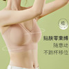 隐形无痕内衣女 小胸聚拢防下垂收副乳 无钢圈舒适背心式文胸罩薄款无尺码 商品缩略图6