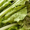 放心奶油紫快菜250g/份 商品缩略图3