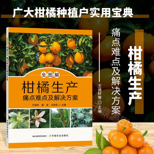 全图解柑橘生产痛点难点及解决方案【官方正版，可开发票，下单时留开票信息和电子邮箱】 商品图0