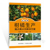 全图解柑橘生产痛点难点及解决方案【官方正版，可开发票，下单时留开票信息和电子邮箱】 商品缩略图4