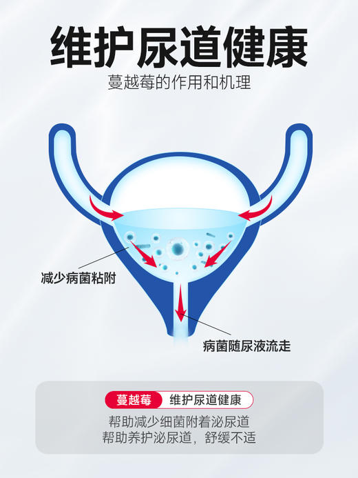 【第二件“半价”】泌尿片 利尿通猫咪狗狗泌尿系统养护片排尿困难尿路结石尿频尿血 200片/瓶 商品图8