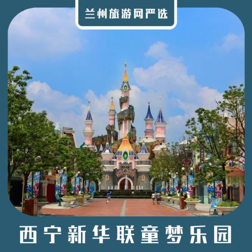 【门票】西宁新华联童梦乐园 商品图0