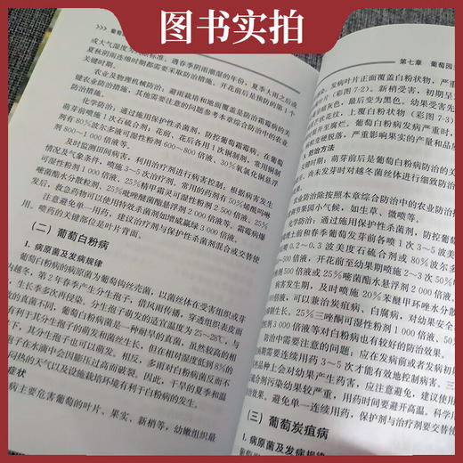 葡萄新品种及配套技术 【官方正版，可开发票，下单时留开票信息和电子邮箱】 商品图4