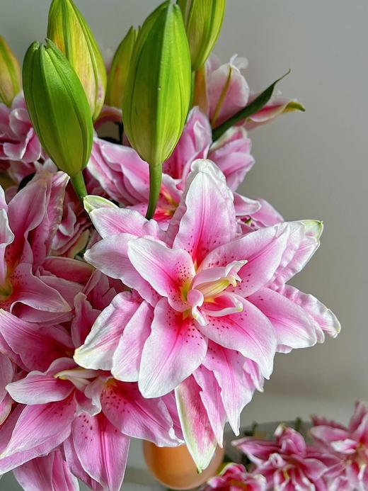 同城甄选精品国产鲜花速递西亚拉多头百合花鲜花速递家庭用花5支 商品图3