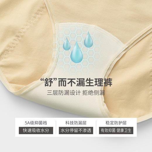 芬腾95%棉女士生理内裤 A-4549 商品图1