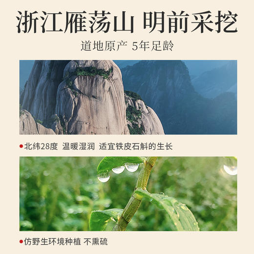 杞里香100g（12罐）铁皮石斛礼盒蓝色、200g铁皮石斛i礼盒红色雁荡山原产铁皮石斛颜色偏绿，个头饱满送礼年货送爸妈好友 商品图7