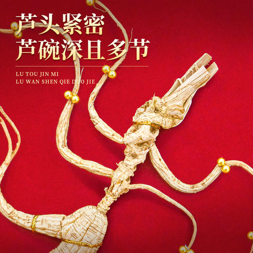 热卖【长白山甄选野山参】高档野山参礼盒珠钉60板野山参送礼一等品W系列 商品图7