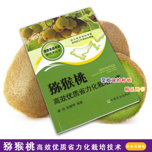 猕猴桃高效优质省力化栽培技术农业种植养殖猕猴桃栽培技术书籍【官方正版，可开发票，下单时留开票信息和电子邮箱】 商品图1