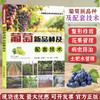 葡萄新品种及配套技术 【官方正版，可开发票，下单时留开票信息和电子邮箱】 商品缩略图0