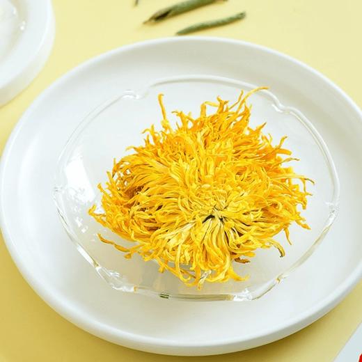 金丝皇菊100朵独立包装【MC】 商品图2