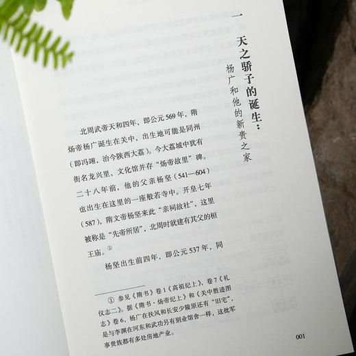 【精装】双面暴君：隋炀帝的生平、时代及真相 隋炀帝杨广隋朝历史文化书籍 商品图6