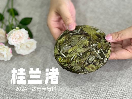 【好茶来了】花香更艳，2024春寿眉饼《小桂兰渚》（100克），香氛满怀、兰桂齐芳 商品图6