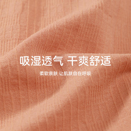 【积分兑换】芬腾 女士新款内裤女中腰纯色三角裤亲肤舒适内裆【品牌直发】 商品图1