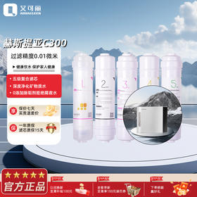 艾可丽赫斯提亚C300 家用净水器超滤五级过滤自来水厨下净水机滤芯