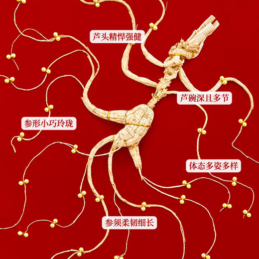 热卖【长白山甄选野山参】高档野山参礼盒珠钉60板野山参送礼一等品W系列 商品图5