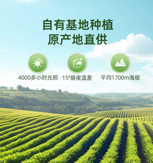 【营养均衡】草牧里 五色鹰嘴芸豆 525g/袋 杂豆营养多五色更均衡 商品图7