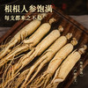 热卖【全须生晒参50g】生物圈系列吉林长白山特产人参生晒参亚克力盒装 商品缩略图4