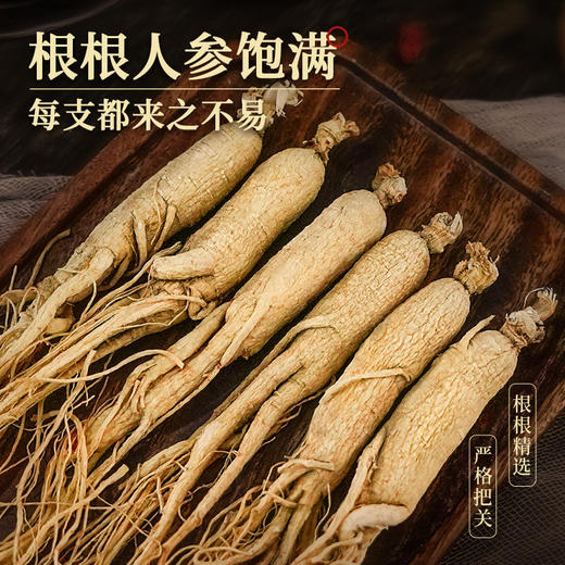 热卖【全须生晒参50g】生物圈系列吉林长白山特产人参生晒参亚克力盒装 商品图4