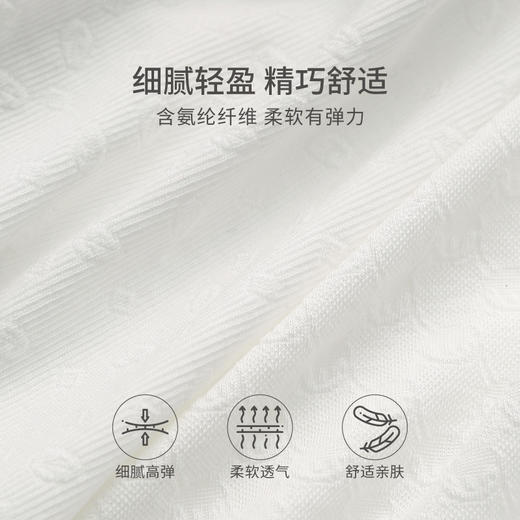 【3条装】A类内裤女100%棉内裆 中腰舒适透气无痕纯色新款三角短裤     芬腾 商品图2