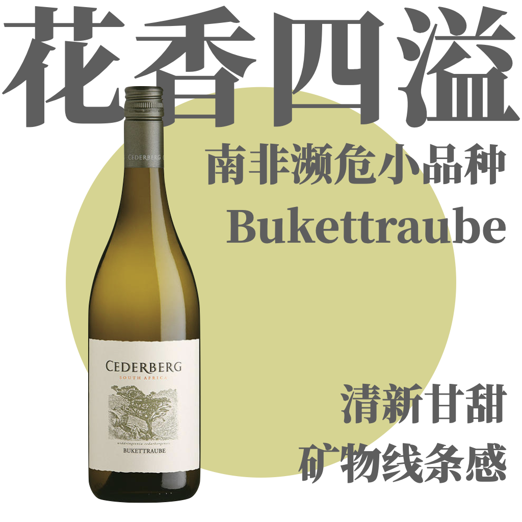 【花香四溢·南非濒危小品种】2023 塞德堡布基特博半甜白 Cederberg Bukettraube