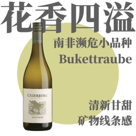 【花香四溢·南非濒危小品种】2023 塞德堡布基特博半甜白 Cederberg Bukettraube