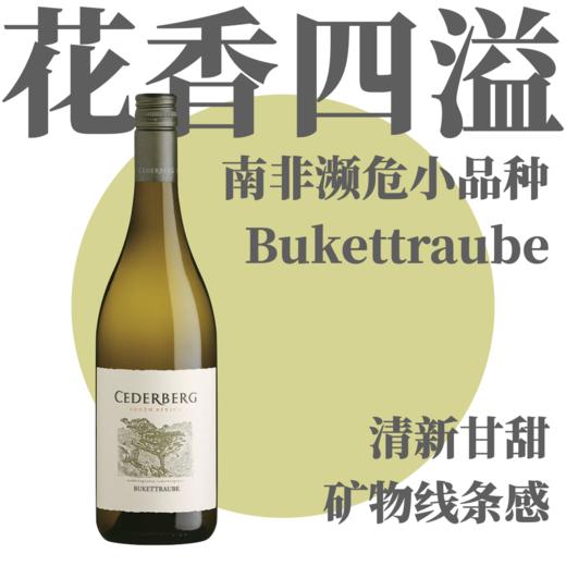 【花香四溢·南非濒危小品种】2023 塞德堡布基特博半甜白 Cederberg Bukettraube 商品图0