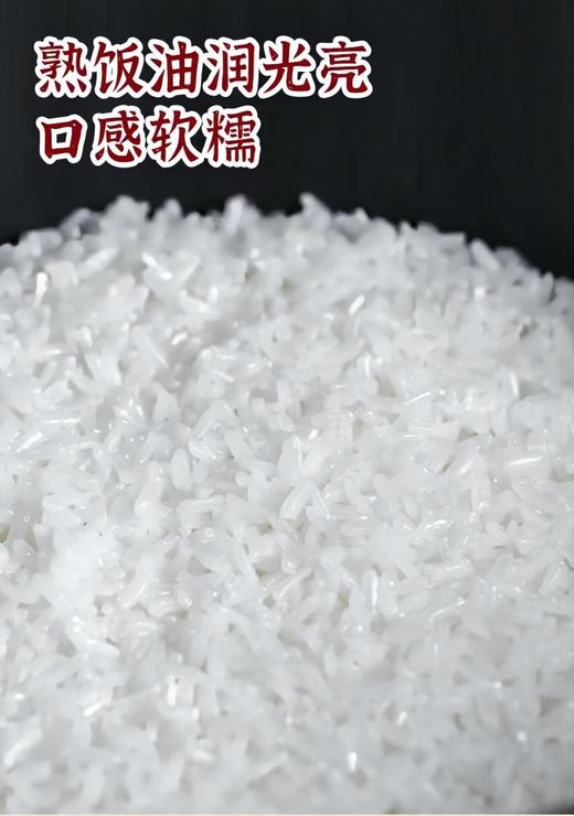 太粮 南方甄选 香油粘 南方大米5kg 商品图5