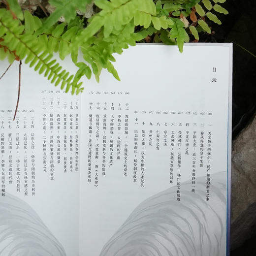 【精装】双面暴君：隋炀帝的生平、时代及真相 隋炀帝杨广隋朝历史文化书籍 商品图7