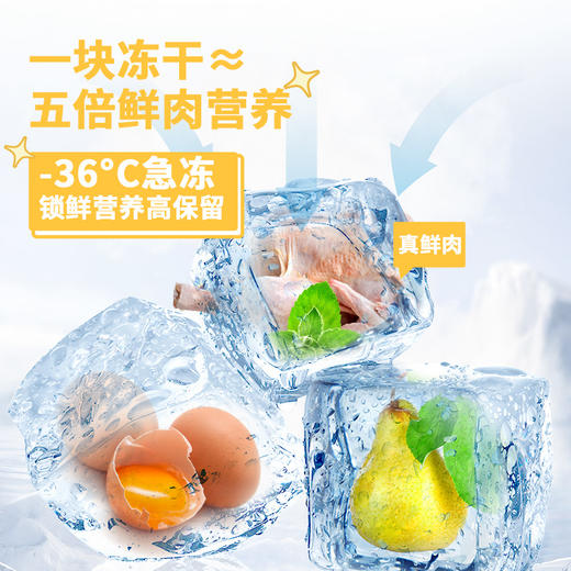 【雷米高】雷米高活力果全价犬奶糕粮肉蛋果蔬五拼主粮正品大袋幼犬冻干狗粮 商品图1