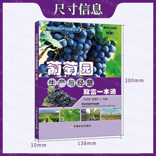 葡萄园生产与经营致富一本通【官方正版，可开发票，下单时留开票信息和电子邮箱】 商品图2