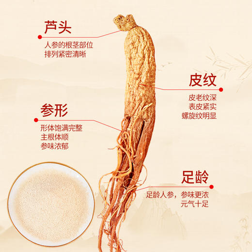 热售【优质红参粉盒装】生物圈系列长白山红参粉小袋独立包装便携180g 商品图2