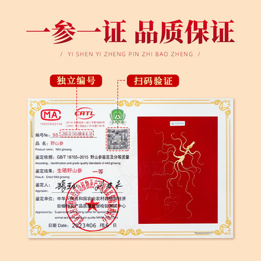 热卖【长白山甄选野山参】高档野山参礼盒珠钉60板野山参送礼一等品W系列 商品图3