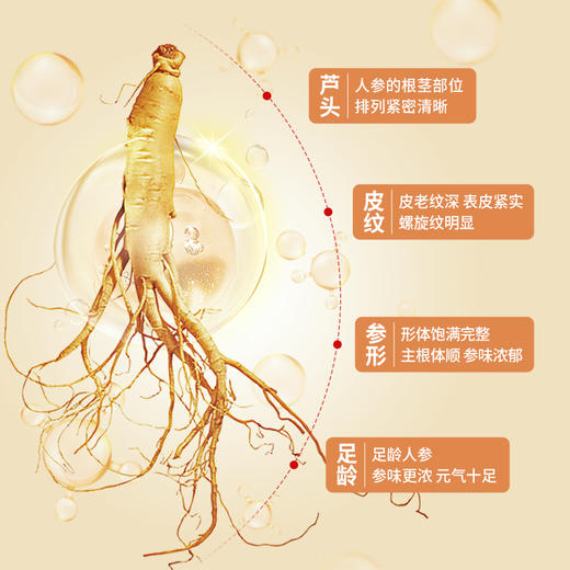 热售【优质人参粉盒装180g】生物圈系列长白山人参粉小袋独立包装便携 商品图4