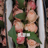 玫瑰.凯瑟琳（10枝） 商品缩略图0