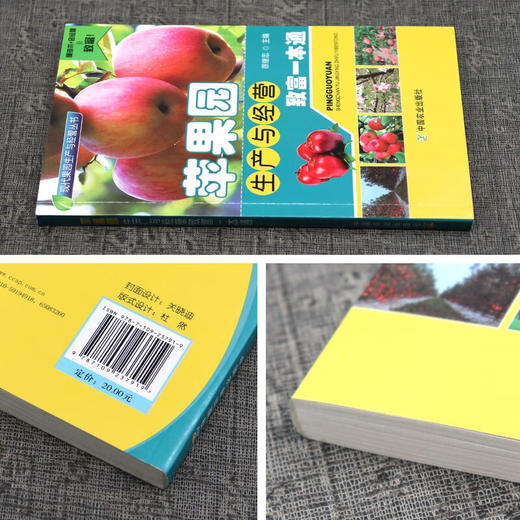 苹果园生产与经营致富一本通 商品图2