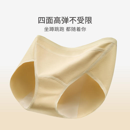 芬腾95%棉女士生理内裤 A-4549 商品图3