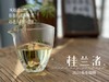 【好茶来了】花香更艳，等级和香气、滋味都更胜往年的2024春寿眉饼《桂兰渚》 商品缩略图10