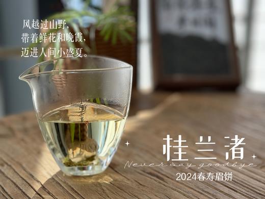 【好茶来了】花香更艳，等级和香气、滋味都更胜往年的2024春寿眉饼《桂兰渚》 商品图10
