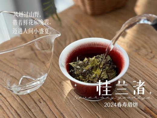 【好茶来了】花香更艳，等级和香气、滋味都更胜往年的2024春寿眉饼《桂兰渚》 商品图8