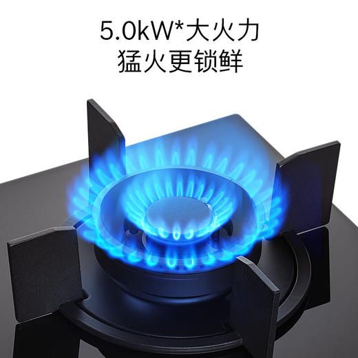 博世（BOSCH）嵌入式天然气燃气灶 家用双灶5.0kW大火力猛火灶具 意外熄火保护 一级能效 黑晶面板 PJD82F31MP 商品图1