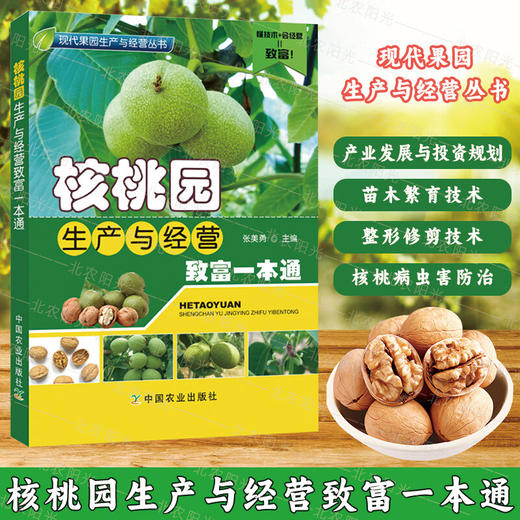 核桃园生产与经营致富一本通【官方正版，可开发票，下单时留开票信息和电子邮箱】 商品图0