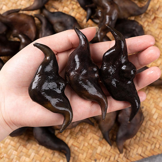 【严选】洪湖新鲜采摘老菱角3斤/5斤 （厂家直发） 商品图1