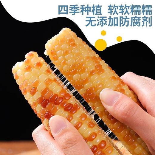 5斤实惠装【元气早餐！新鲜香糯小玉米】即食花糯玉米，粒粒饱满软糯鲜甜，营养轻食代餐，健康即食早餐加餐低热量宵夜Y 商品图2