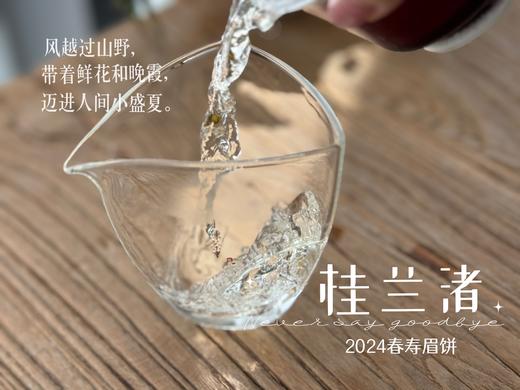 【好茶来了】花香更艳，等级和香气、滋味都更胜往年的2024春寿眉饼《桂兰渚》 商品图9