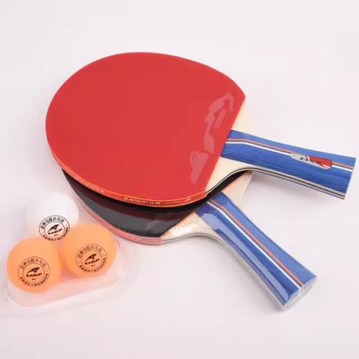 狂神乒乓球拍KS2882长柄（赠3球）  二星 商品图1