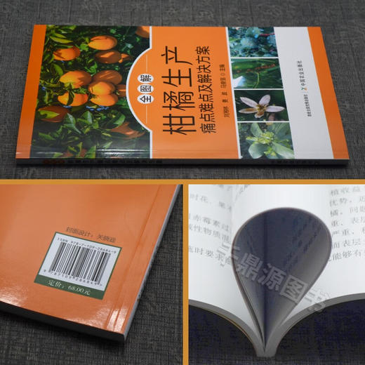 全图解柑橘生产痛点难点及解决方案【官方正版，可开发票，下单时留开票信息和电子邮箱】 商品图1