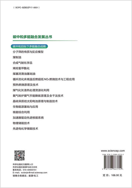 碳中和目标下多能融合战略 商品图1
